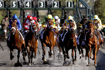 89th Blue Grass Stakes